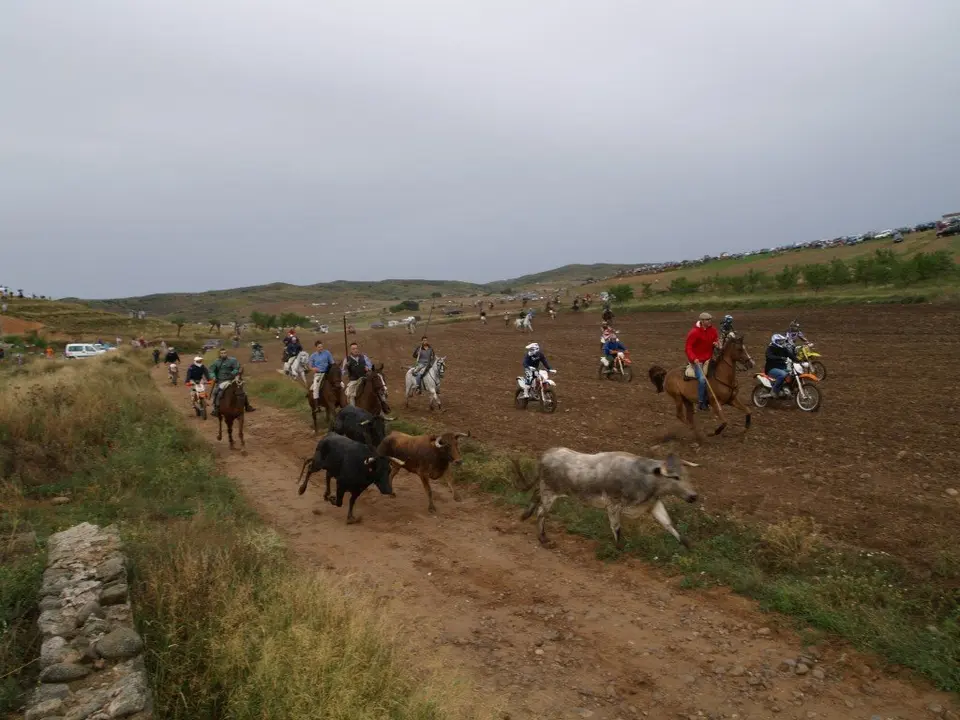 15-Bajada-de-las-vacas-2-1136-1024x768.jpg