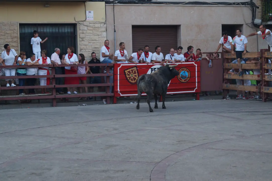 12-Previo-Fiestas-Bue&ntilde;uel-1135.jpg