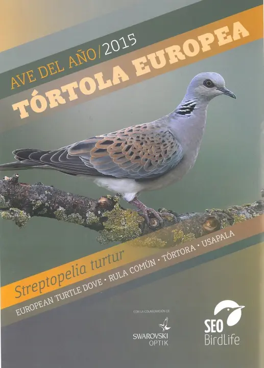 26-T&oacute;rtola-Europea-Ave-del-A&ntilde;o-2015-1137-735x1024.jpg