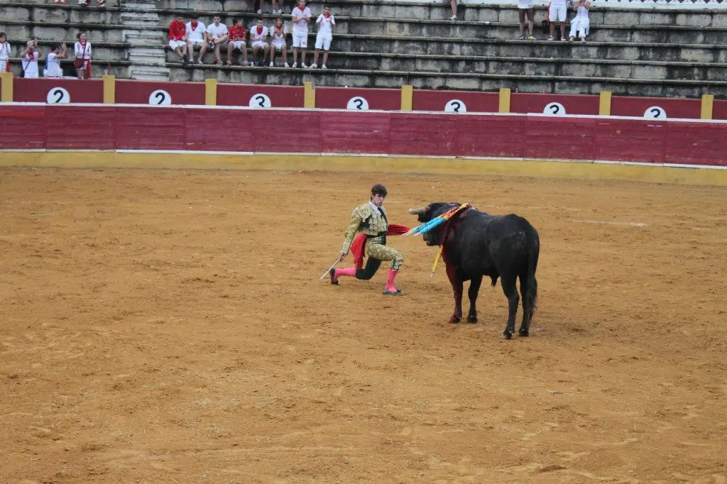 18-Novillada-Javier-Mar&iacute;n-archivo-1138-1024x682.jpg
