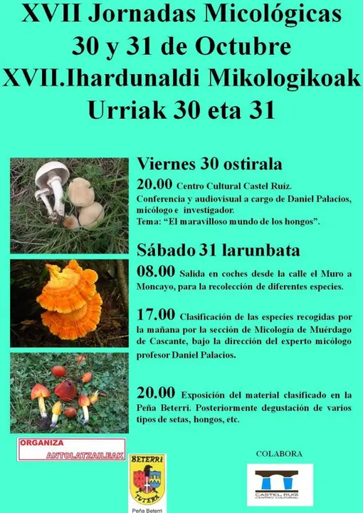 Cartel-jornadas-micol&oacute;gicas-de-Beterri-2015-726x1024.jpg