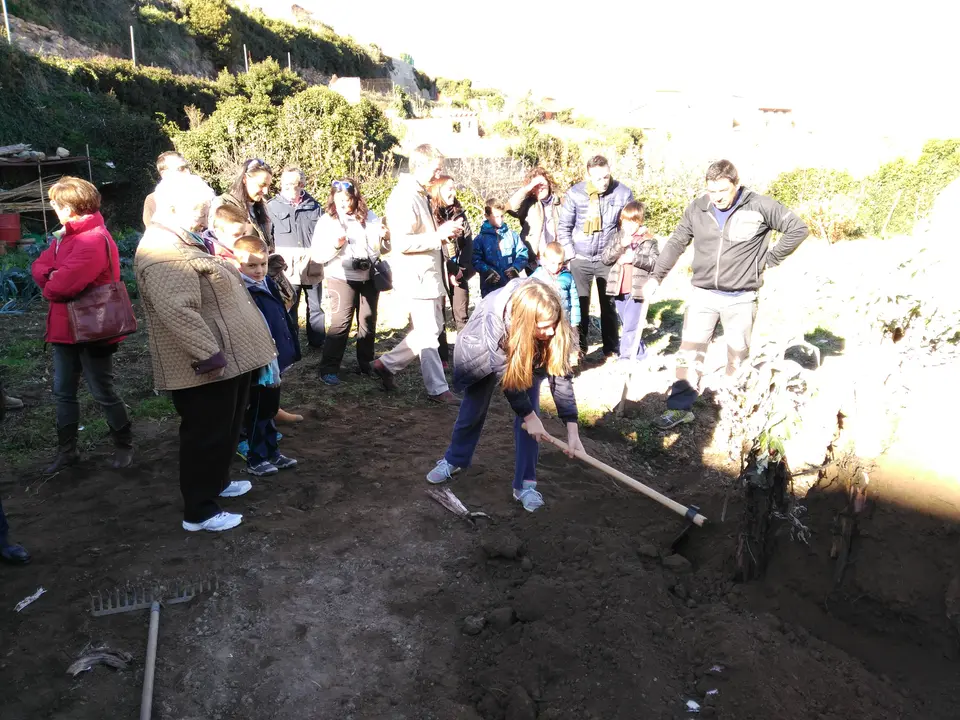 2015-12-05-12.10.38.jpg