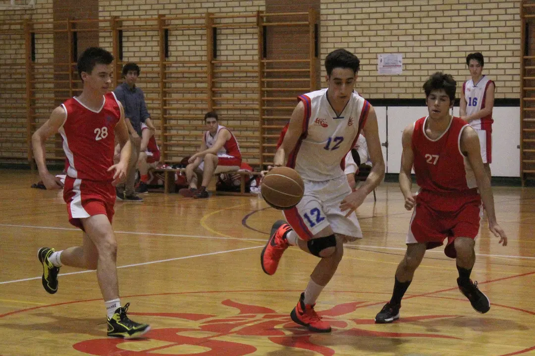 basket.jpg