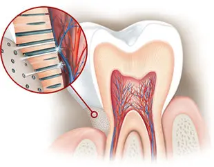 24-Dientes-sensibles-1158.jpg