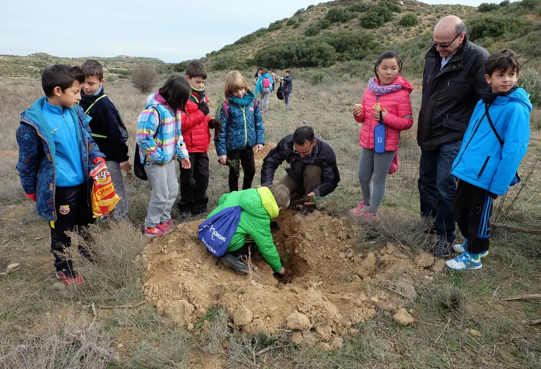38-Tarazona-Jornada-de-reforestaci&oacute;n-1160.jpg