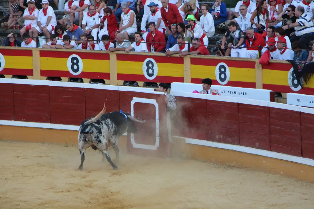16-Corrida-de-toros-Tudela-archivo-1162.jpg