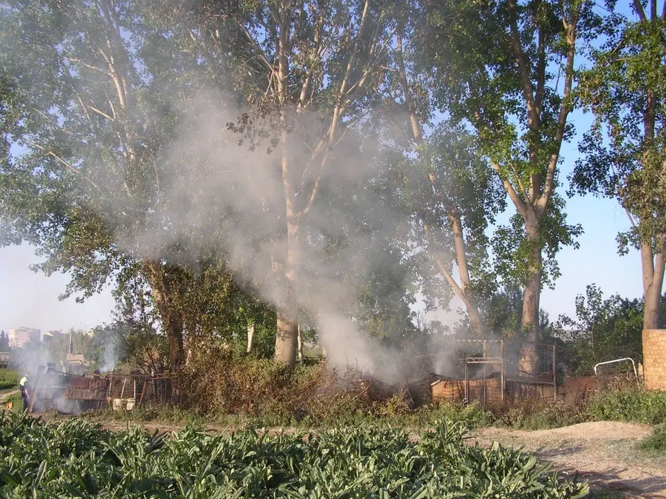 32-Incendio-en-un-huerto-1167-1024x768.jpg