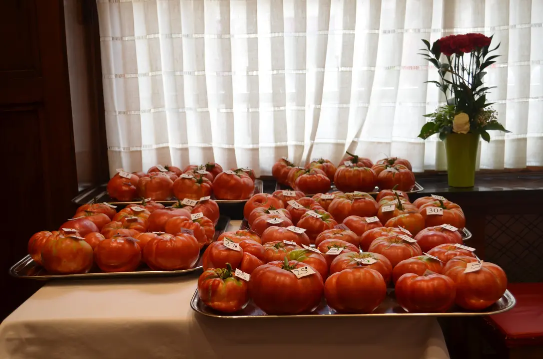 28-Tomates-feos-archivo-1168.jpg