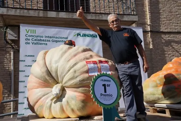 CALABAZAS-131.jpg