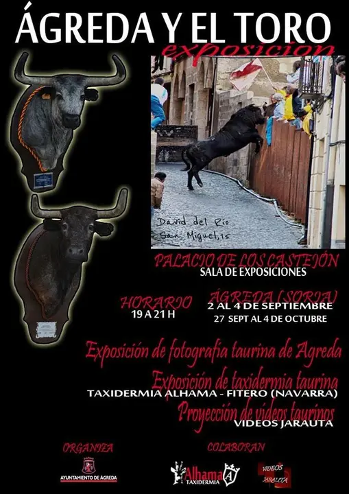 Cartel-&Aacute;greda-y-el-Toro.jpg