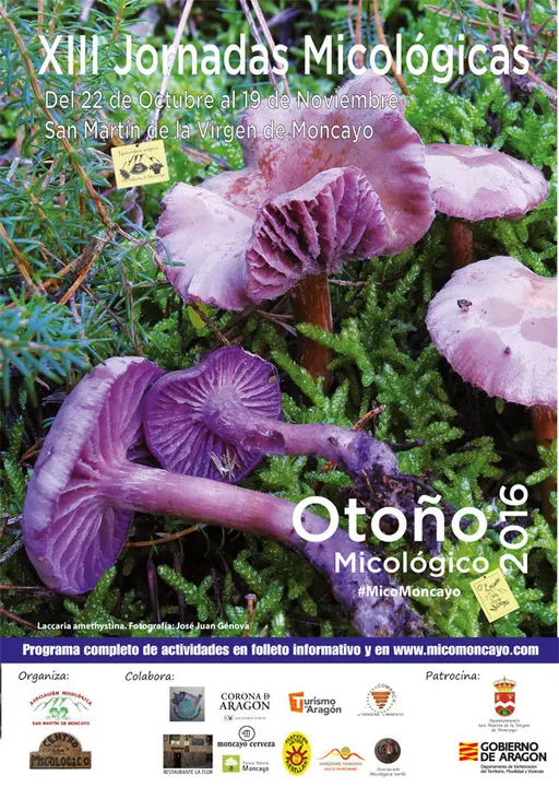 oto&ntilde;o-micologico-2016_cartel.jpg