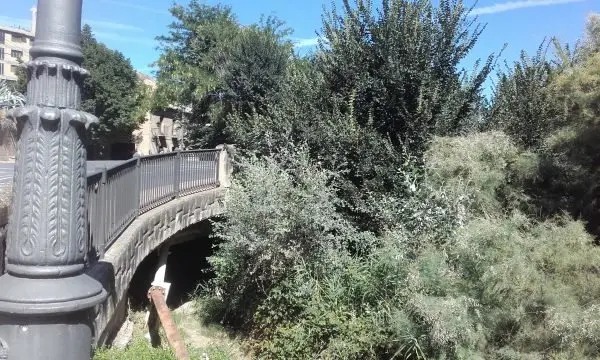 4-Los-&aacute;rboles-no-dejan-ver-el-puente-1177.jpg