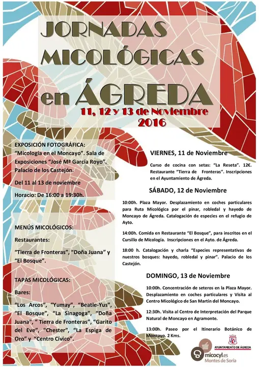 II-Cartel-Jornadas-Micologicas-2016-page-001.jpg