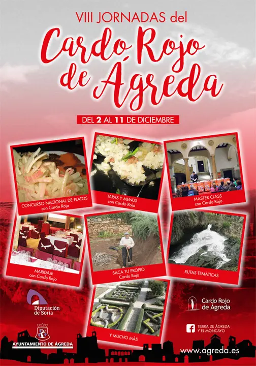 Cartel-Jornadas-Cardo-Rojo-2016.jpg