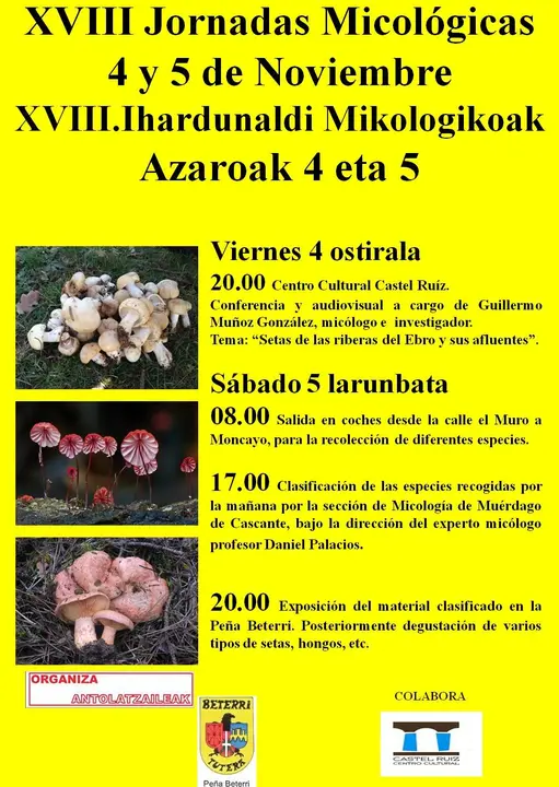 1-Cartel-jornadas-micol&oacute;gicas-de-Beterri-2016.jpg