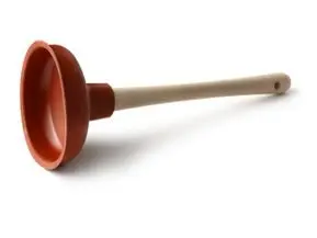 image-1.jpg