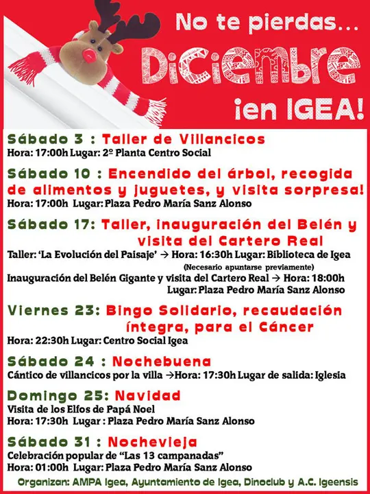 IGEA-Programaci&oacute;n-de-Diciembre.jpg