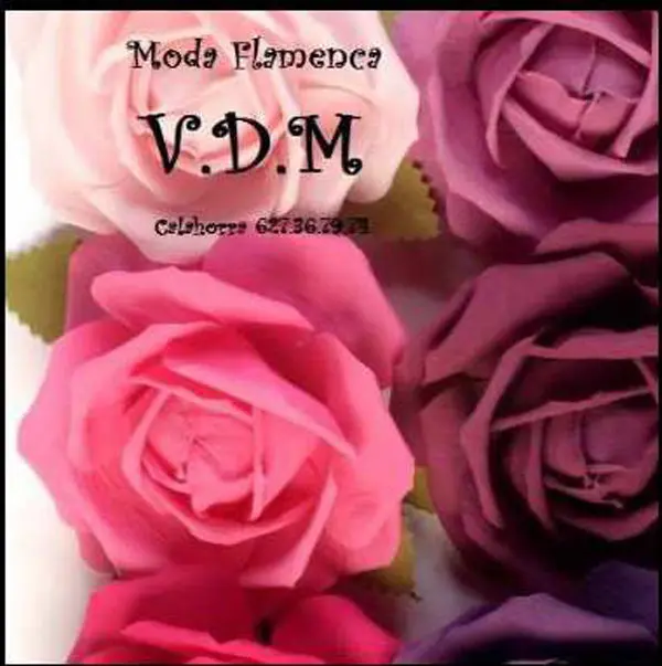 vdm.jpg