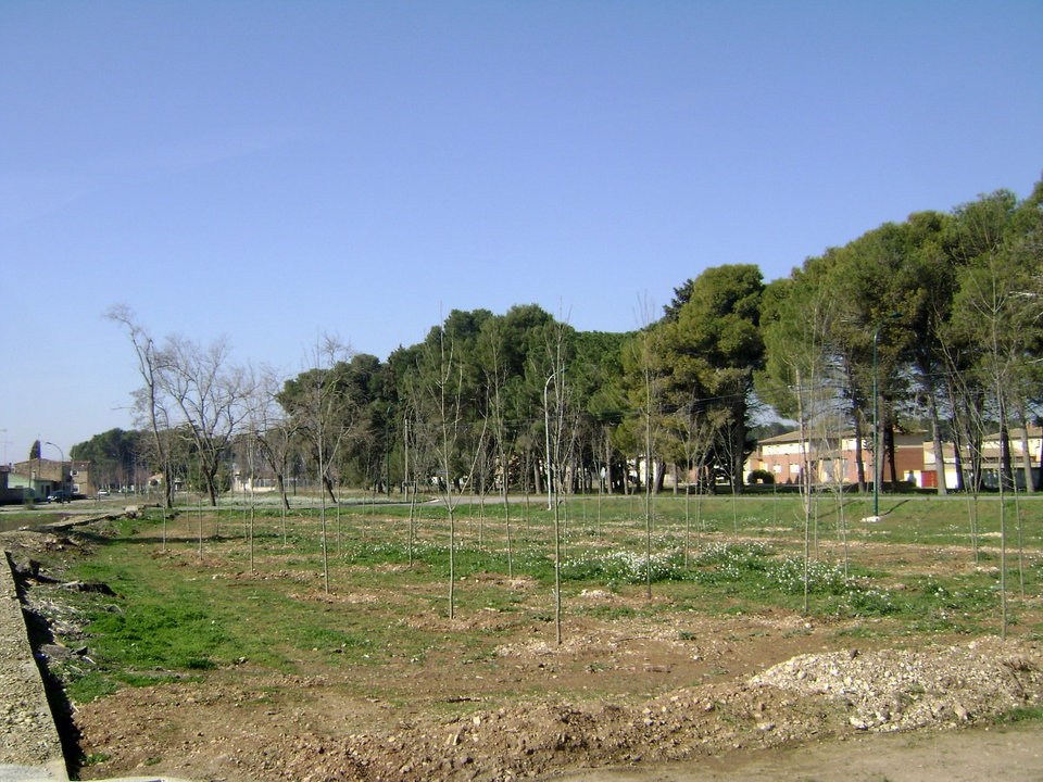 30-Reforestacion-en-Bardenas-1188.jpg