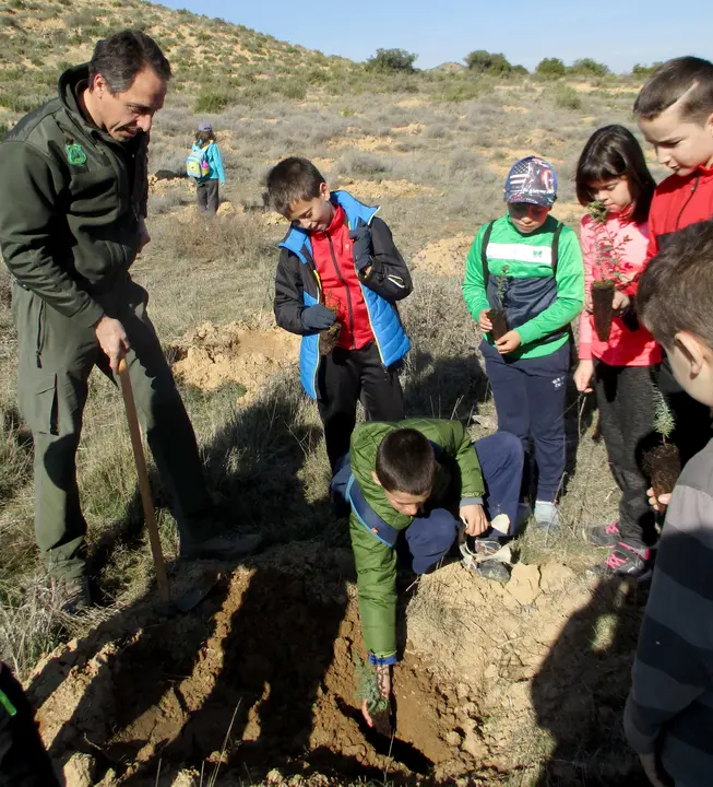 3-Jornada-de-Reforestaci&oacute;n-1188.jpg