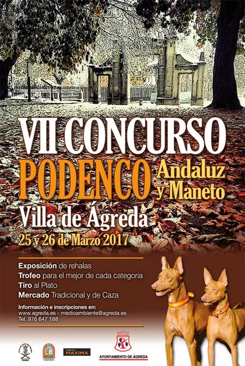Cartel-Concurso-Podencos-2017.jpg