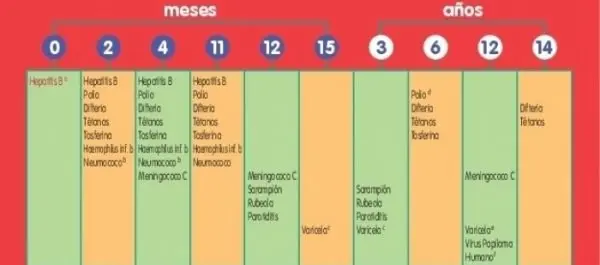 imagenes_CalendarioManoVacunasAragon2017-002_fcd87e86.jpg