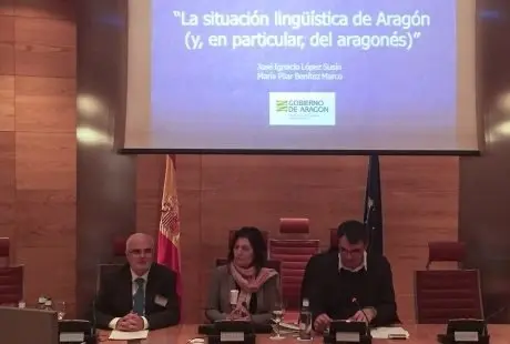 imagenes_senado_linguistica03_097d66b9.jpg