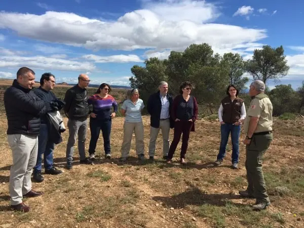 3-actuaci&oacute;n-de-Eder-en-los-pinares-1194.jpeg