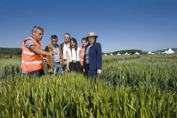 Agricultura1b.jpg
