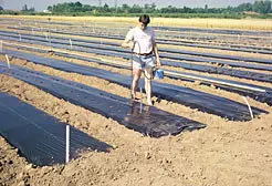 Agricultor