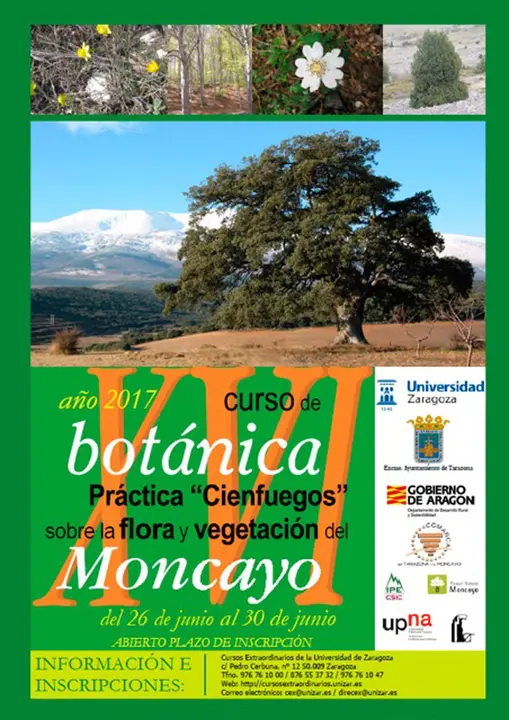 CartelBot&aacute;nica2017