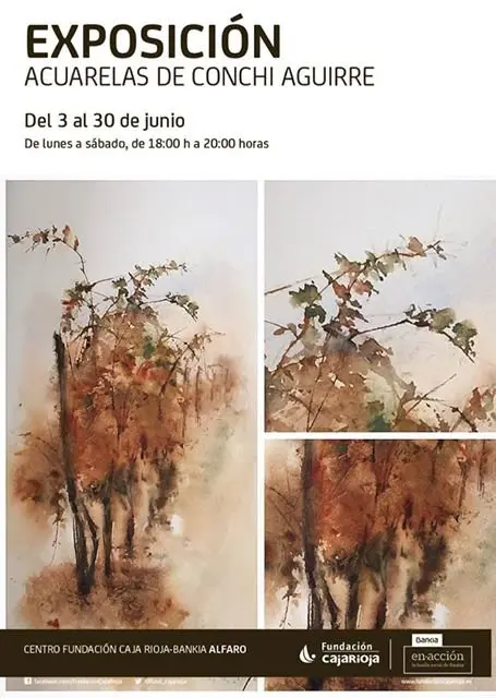 18835851_1911375042438269_1373876248892031826_n