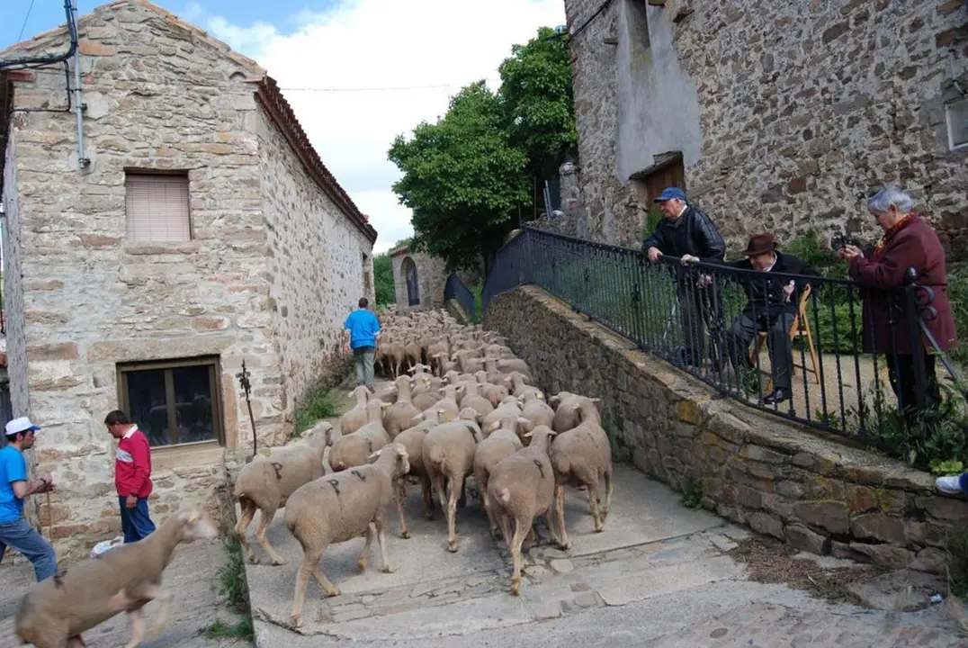 Se han preparado diversos paquetes tur&iacute;sticos desde 30 a los 109&euro;