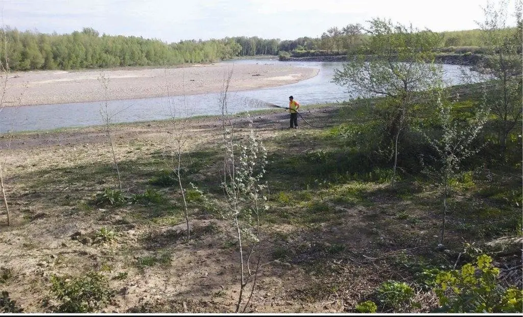 4 Durante trabajos de hidrosiembre en r&iacute;o Ebro en Alfaro