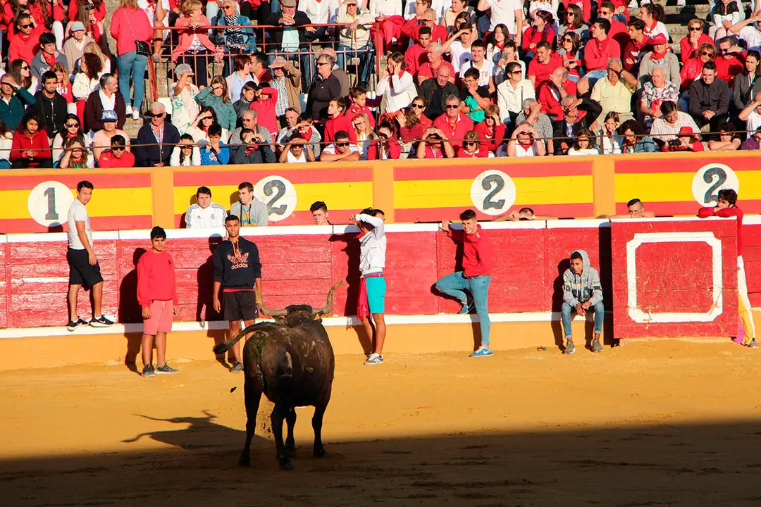 Suelta-de-vaquillas-26-julio--1
