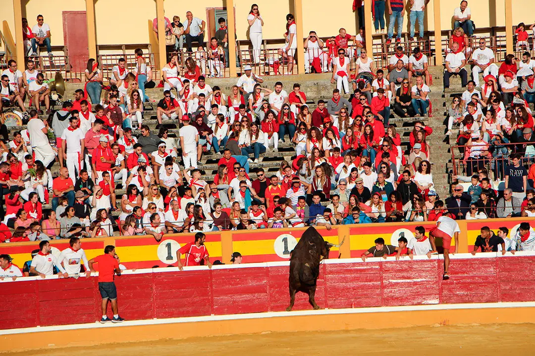 Suelta-de-vaquillas-26-julio--3