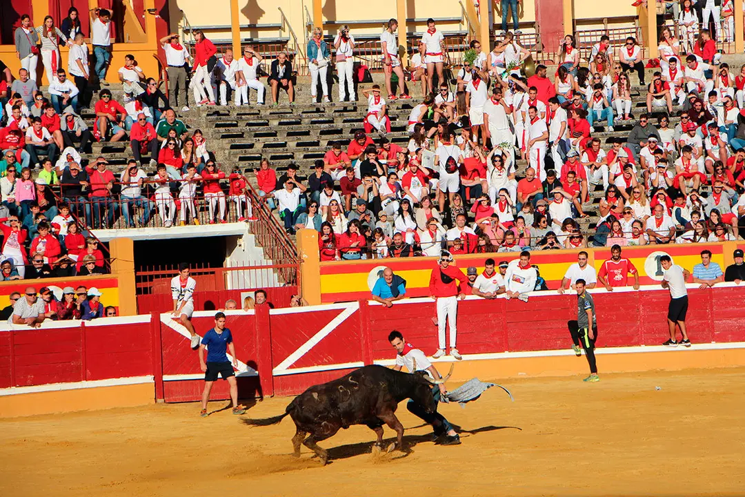 Suelta-de-vaquillas-26-julio--5