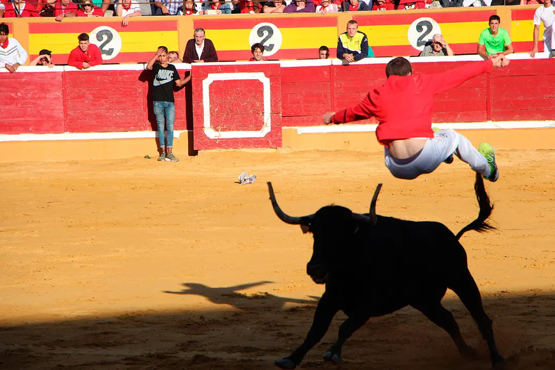 Suelta-de-vaquillas-26-julio--6