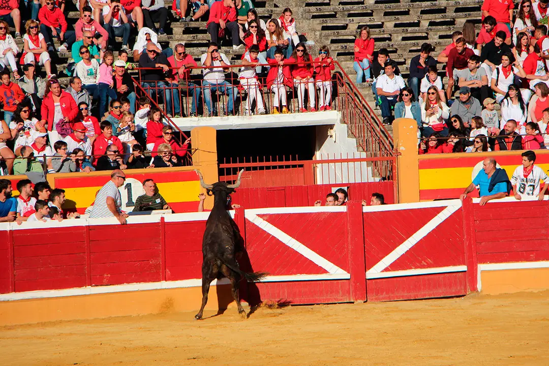 Suelta-de-vaquillas-26-julio--8