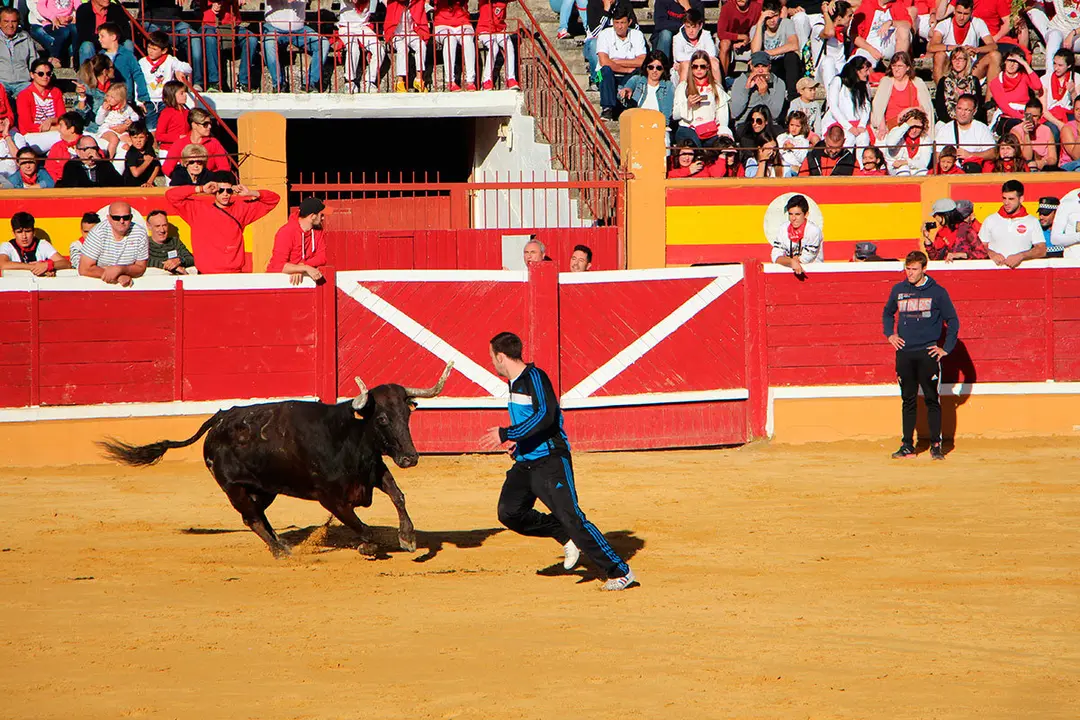 Suelta-de-vaquillas-26-julio--9