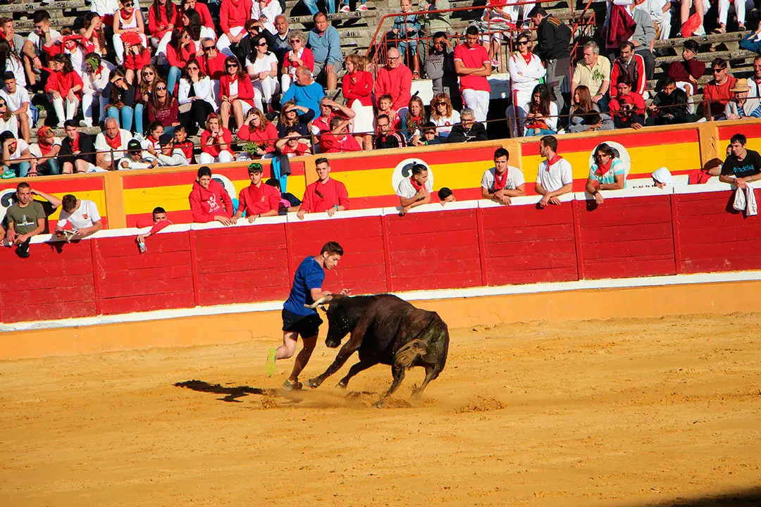 Suelta-de-vaquillas-26-julio--11