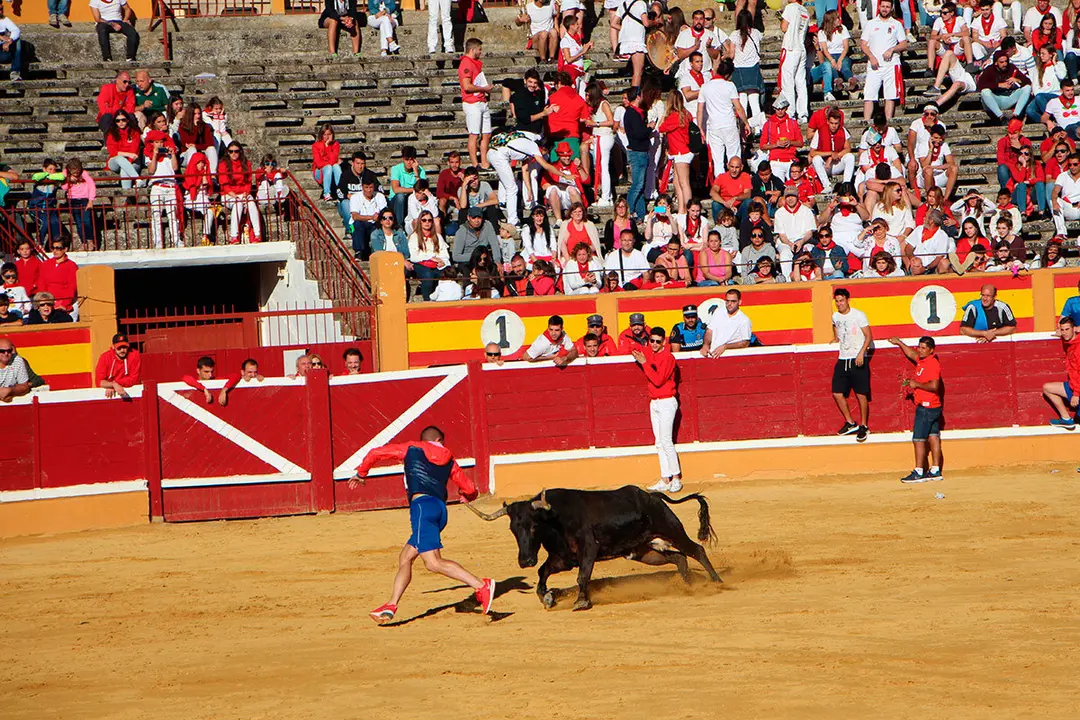 Suelta-de-vaquillas-26-julio--12