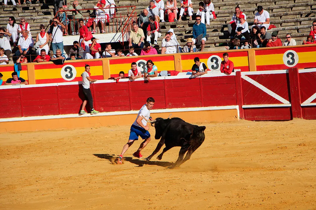 Suelta-de-vaquillas-26-julio--14
