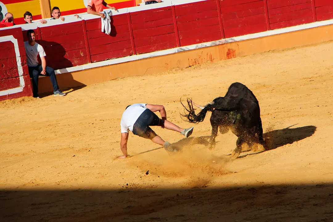 Suelta-de-vaquillas-26-julio--15