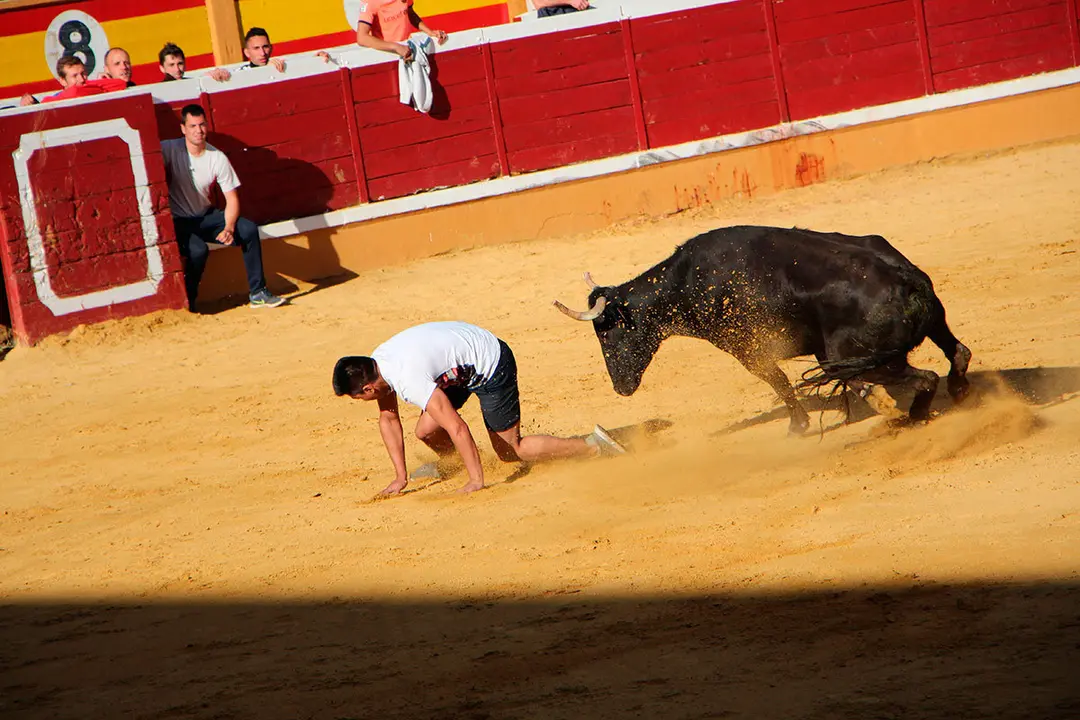 Suelta-de-vaquillas-26-julio--16