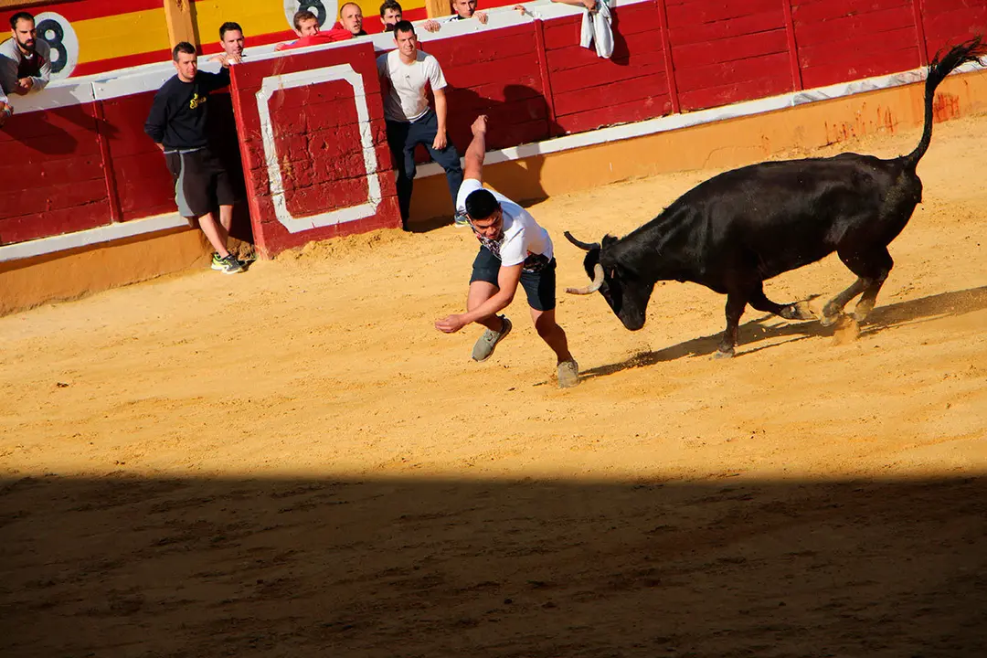 Suelta-de-vaquillas-26-julio--18