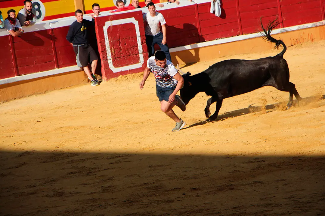 Suelta-de-vaquillas-26-julio--19