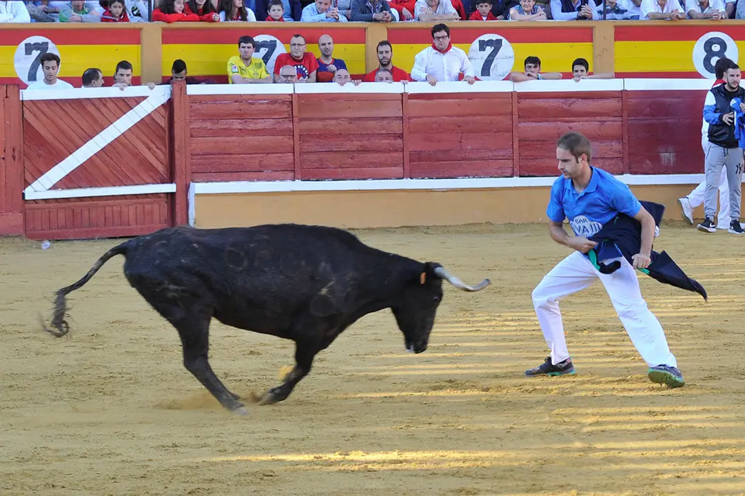 Suelta-de-vaquillas-27-julio-2