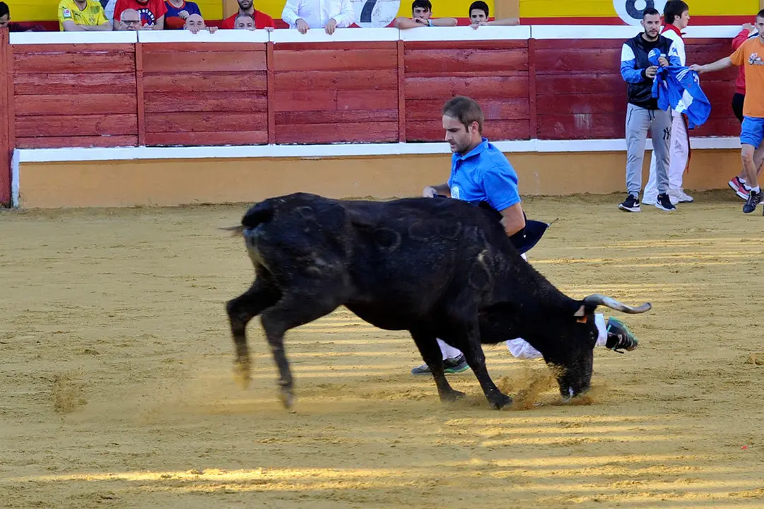 Suelta-de-vaquillas-27-julio-3