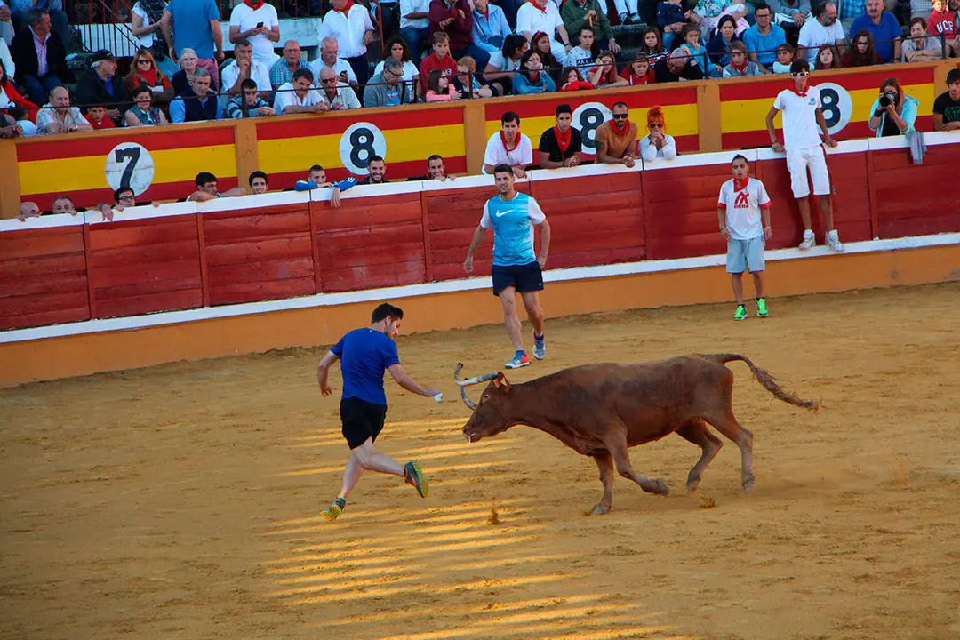 Suelta-de-vaquillas-27-julio-16